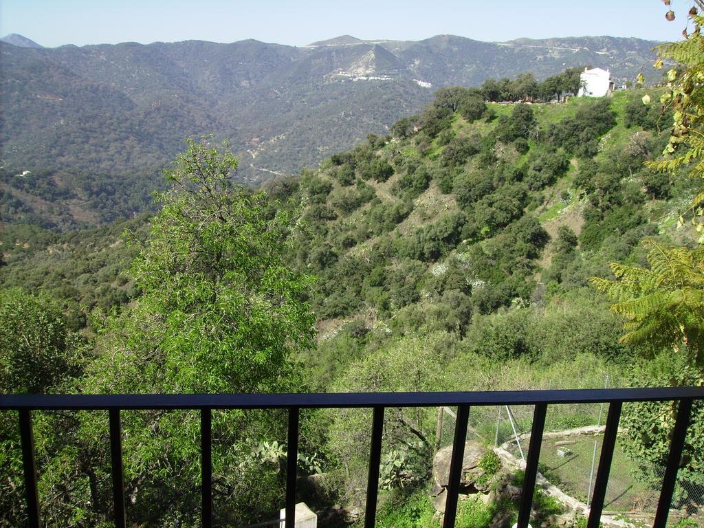 Casas Rurales Jardines Del Visir Genalguacil Dış mekan fotoğraf