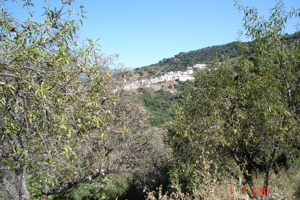 Casas Rurales Jardines Del Visir Genalguacil Dış mekan fotoğraf