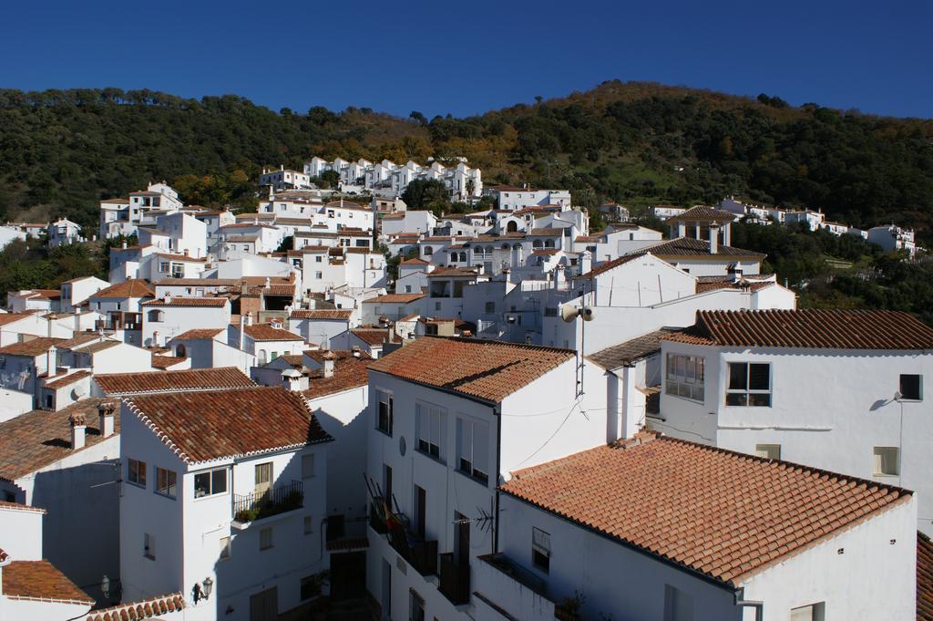 Casas Rurales Jardines Del Visir Genalguacil Dış mekan fotoğraf