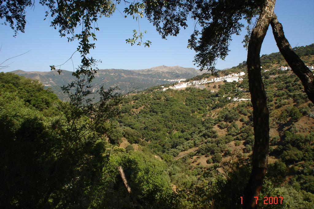 Casas Rurales Jardines Del Visir Genalguacil Dış mekan fotoğraf