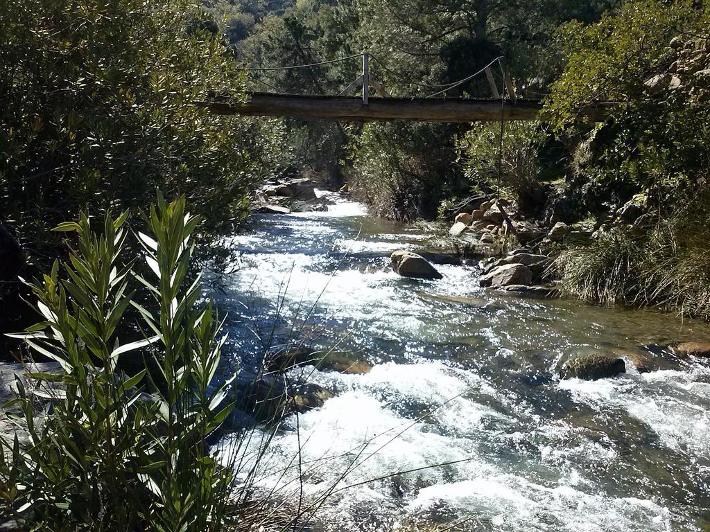 Casas Rurales Jardines Del Visir Genalguacil Dış mekan fotoğraf
